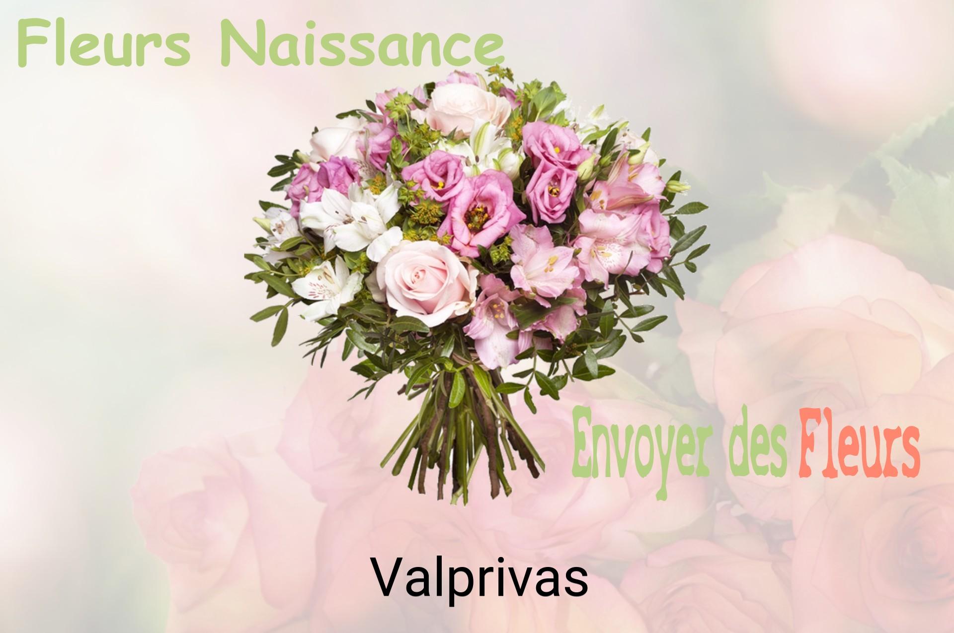Bouquet de fleurs de naissance livré à Valprivas